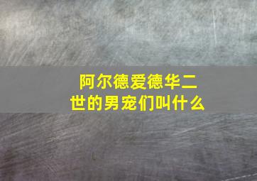 阿尔德爱德华二世的男宠们叫什么