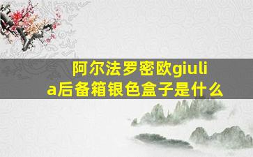 阿尔法罗密欧giulia后备箱银色盒子是什么