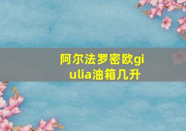 阿尔法罗密欧giulia油箱几升