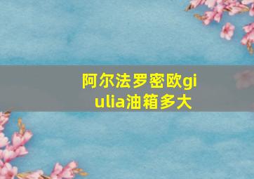 阿尔法罗密欧giulia油箱多大