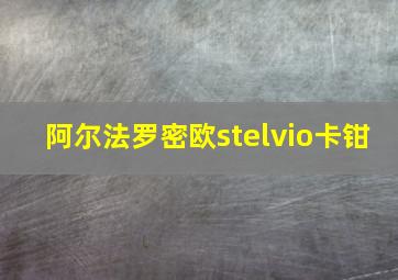 阿尔法罗密欧stelvio卡钳