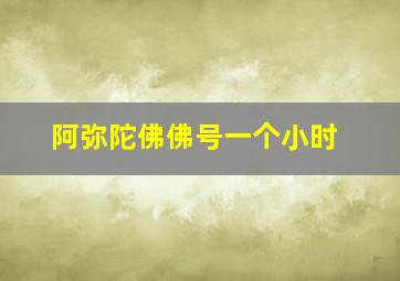 阿弥陀佛佛号一个小时