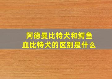 阿德曼比特犬和鳄鱼血比特犬的区别是什么