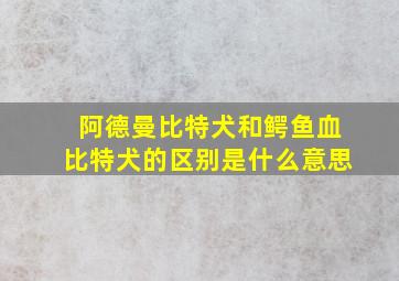 阿德曼比特犬和鳄鱼血比特犬的区别是什么意思