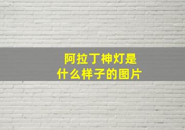 阿拉丁神灯是什么样子的图片