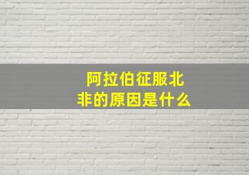 阿拉伯征服北非的原因是什么