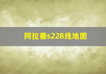 阿拉善s228线地图