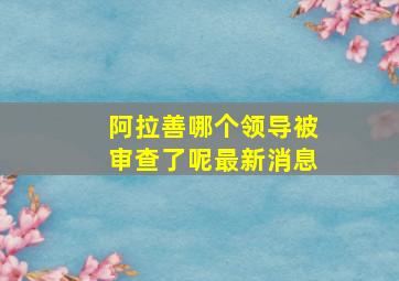 阿拉善哪个领导被审查了呢最新消息