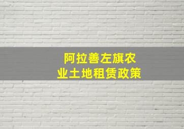 阿拉善左旗农业土地租赁政策