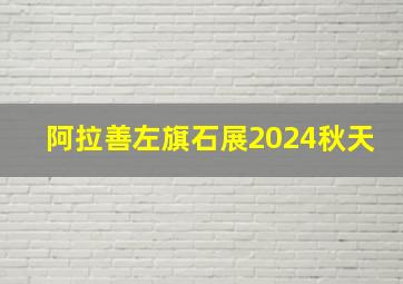 阿拉善左旗石展2024秋天