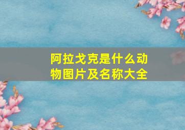 阿拉戈克是什么动物图片及名称大全