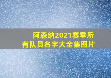 阿森纳2021赛季所有队员名字大全集图片