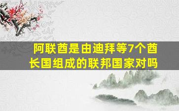 阿联酋是由迪拜等7个酋长国组成的联邦国家对吗