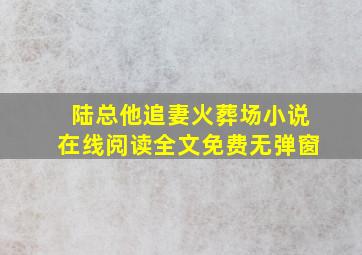 陆总他追妻火葬场小说在线阅读全文免费无弹窗