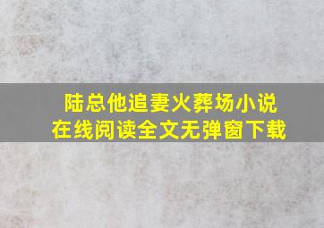 陆总他追妻火葬场小说在线阅读全文无弹窗下载