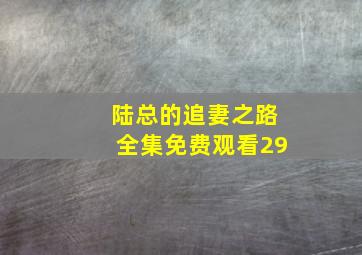 陆总的追妻之路全集免费观看29