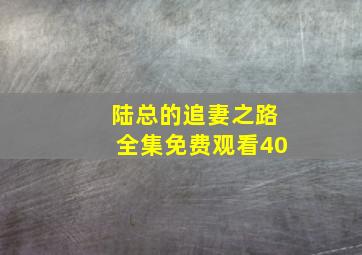 陆总的追妻之路全集免费观看40