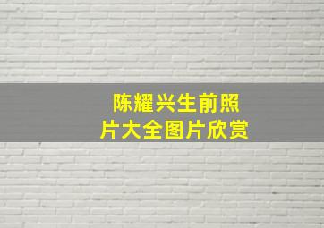 陈耀兴生前照片大全图片欣赏