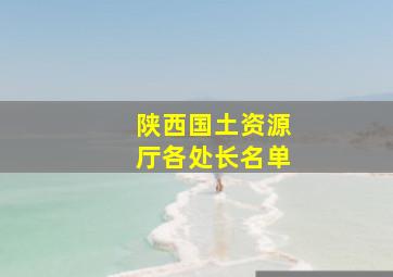 陕西国土资源厅各处长名单