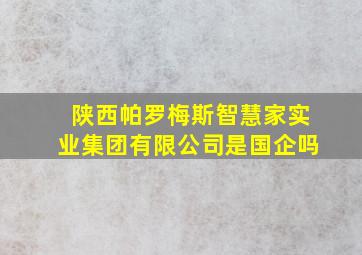 陕西帕罗梅斯智慧家实业集团有限公司是国企吗