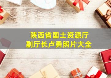 陕西省国土资源厅副厅长卢勇照片大全