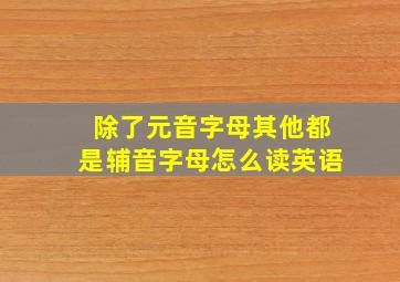 除了元音字母其他都是辅音字母怎么读英语