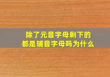 除了元音字母剩下的都是辅音字母吗为什么