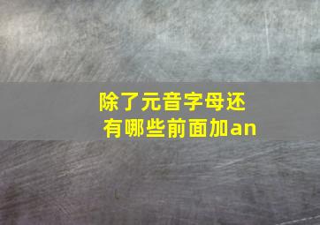 除了元音字母还有哪些前面加an