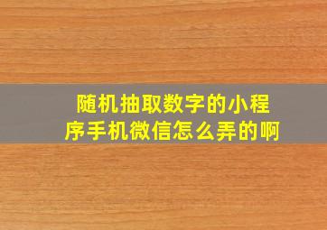 随机抽取数字的小程序手机微信怎么弄的啊