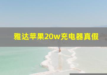 雅达苹果20w充电器真假