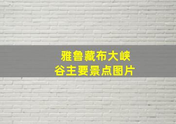 雅鲁藏布大峡谷主要景点图片