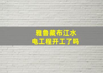 雅鲁藏布江水电工程开工了吗