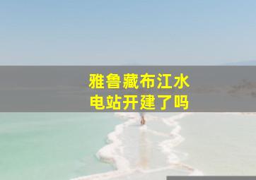 雅鲁藏布江水电站开建了吗