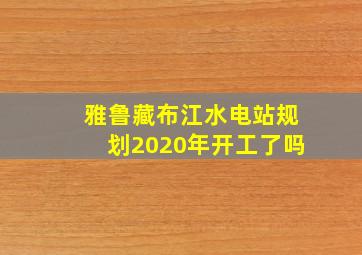 雅鲁藏布江水电站规划2020年开工了吗