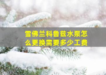 雪佛兰科鲁兹水泵怎么更换需要多少工费