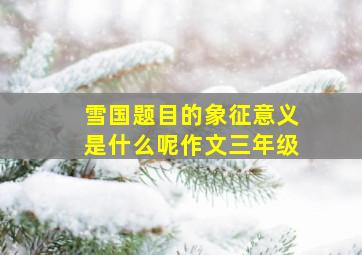 雪国题目的象征意义是什么呢作文三年级