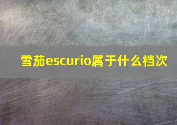 雪茄escurio属于什么档次