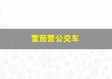 雪茄营公交车