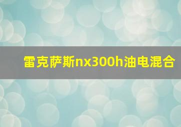 雷克萨斯nx300h油电混合