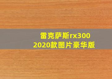 雷克萨斯rx3002020款图片豪华版