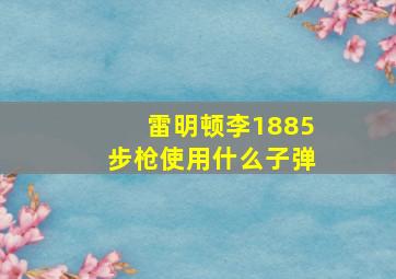 雷明顿李1885步枪使用什么子弹