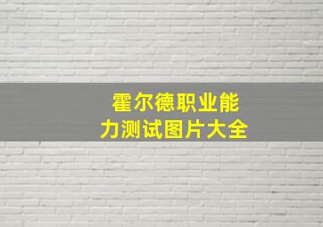 霍尔德职业能力测试图片大全