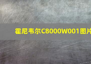 霍尼韦尔C8000W001图片