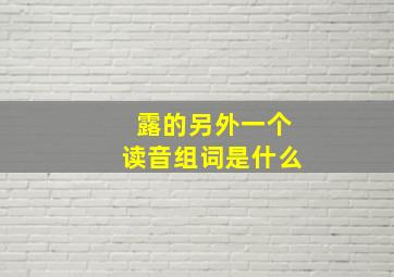 露的另外一个读音组词是什么