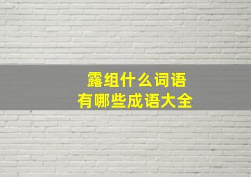 露组什么词语有哪些成语大全