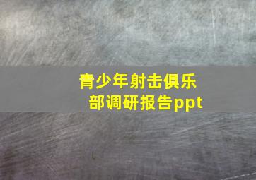 青少年射击俱乐部调研报告ppt