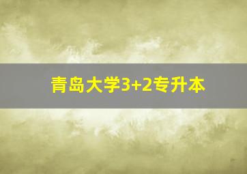 青岛大学3+2专升本