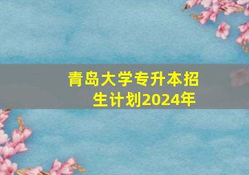 青岛大学专升本招生计划2024年