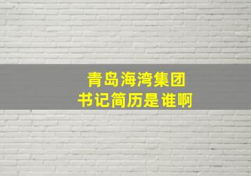 青岛海湾集团书记简历是谁啊