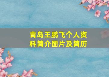 青岛王鹏飞个人资料简介图片及简历